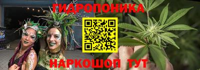 бошки Жуковский