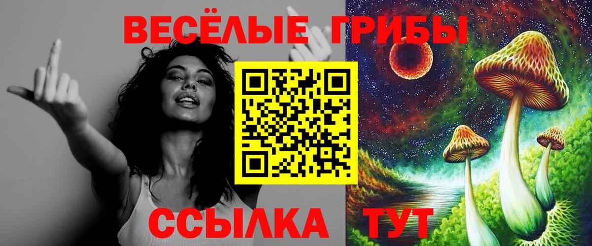Псилоцибиновые грибы Psilocybe  Галлюциногенные грибы Psilocybine cubensis  Вход с VPN  Димитровград 